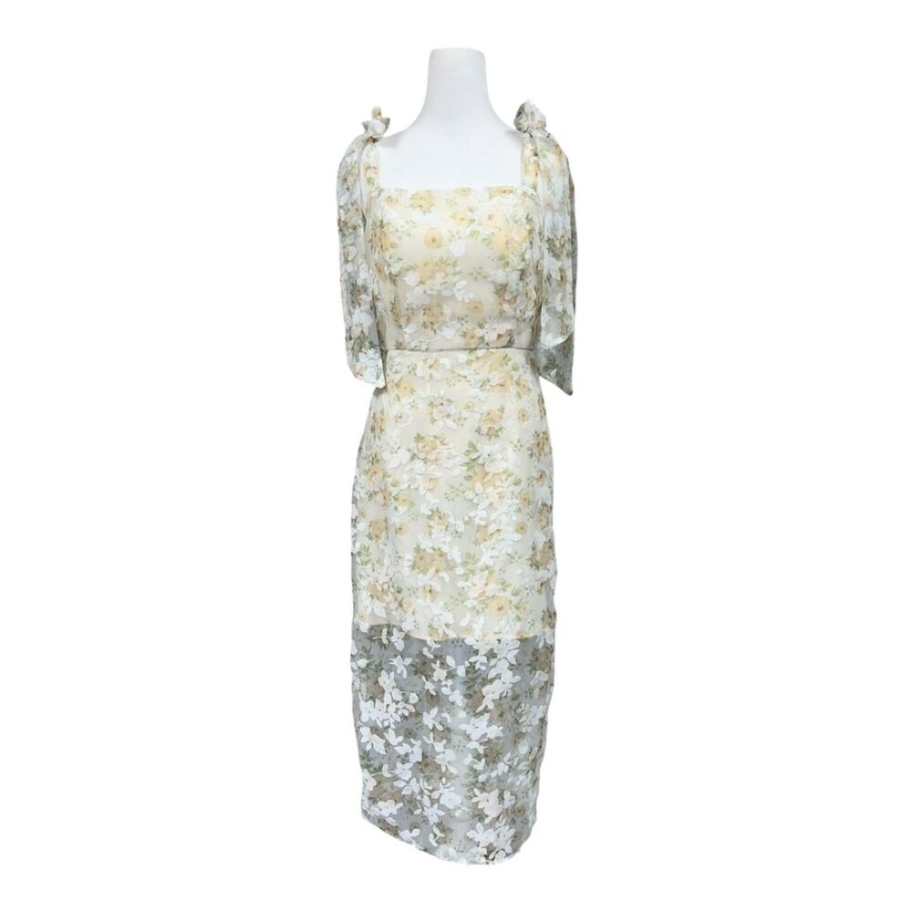 Arose Carinne Dress Floral Organza Midi Sheer Coquette Whimsical Sz S Cream